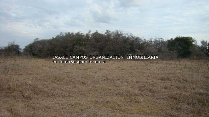 Campo en Venta