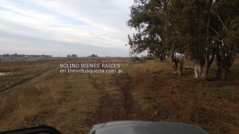 Campo en Venta