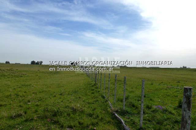 Campo en Venta