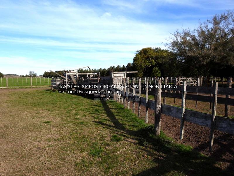 Campo en Venta