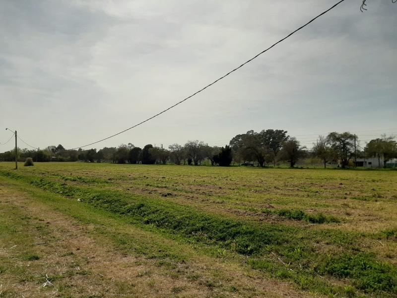 Lote en Venta