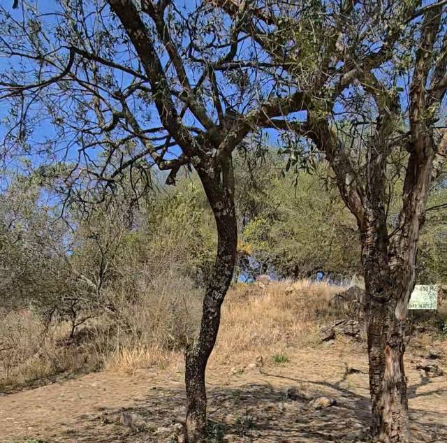 Terreno en Venta en TIERRA ALTA Malagueño