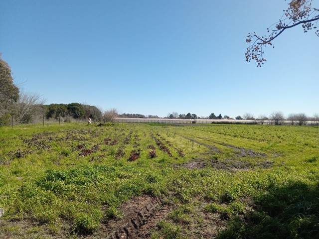 SE VENDE FRACCIÓN 2 Há  EN ARTURO SEGUI