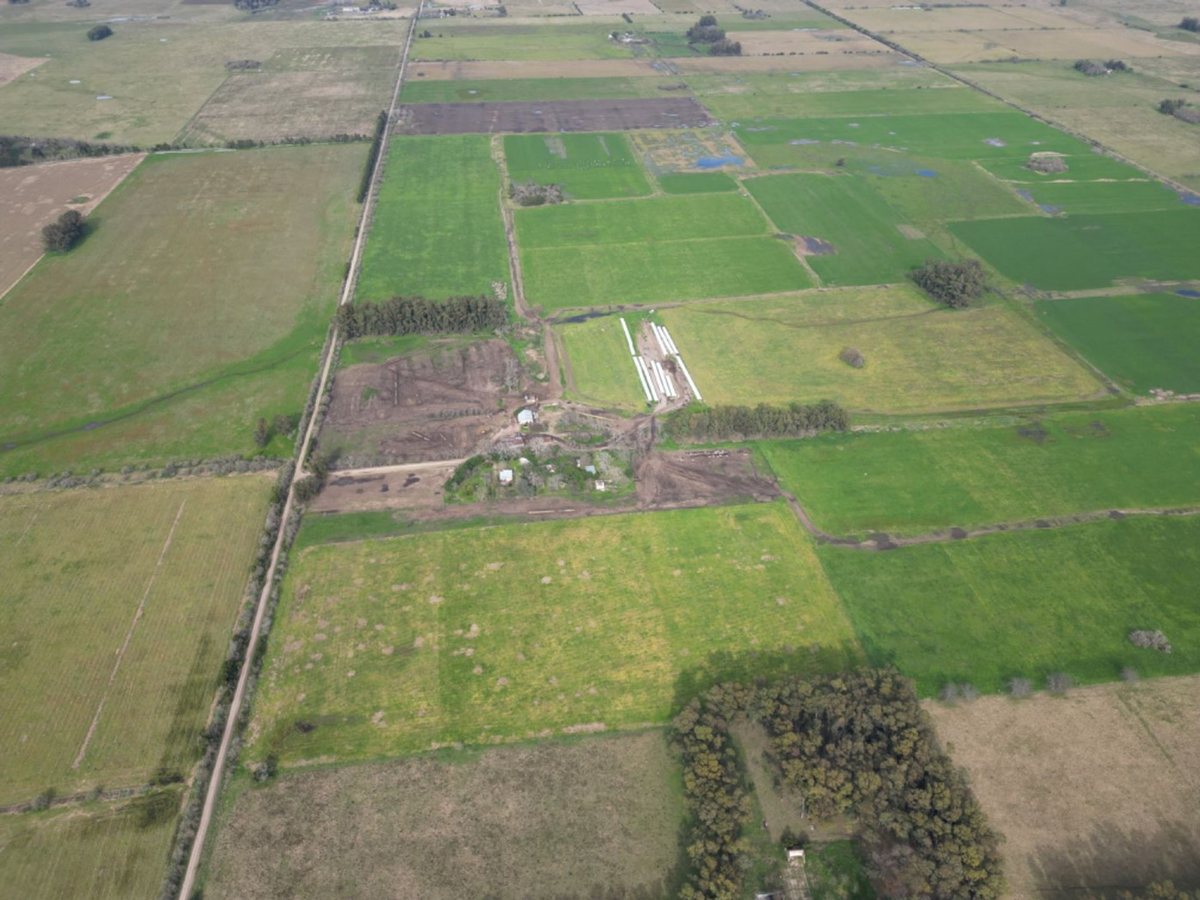 Campo en venta en Bavio de 90 hectáreas AGRICOLA