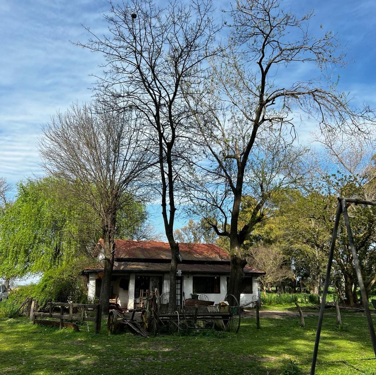 VENTA CAMPO 50 HECTAREAS Gral. Rodríguez