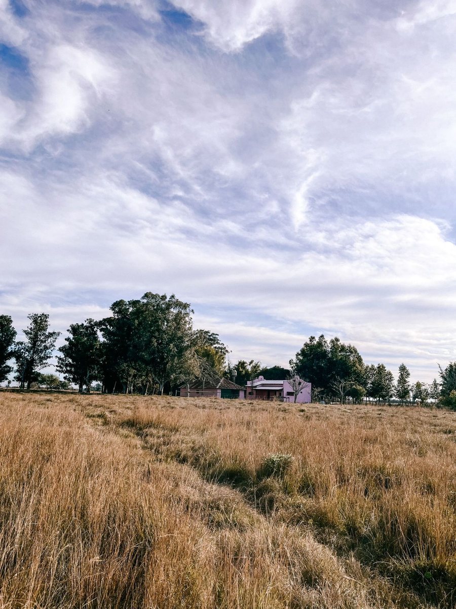 CAMPO EN VENTA CON CASA Y GALPON EN GOYA CTES