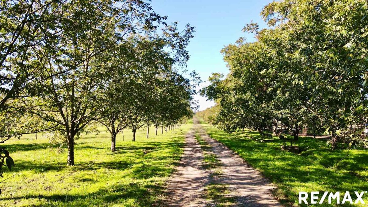 Campo en venta, 32 hectareas, Zarate, Buenos Aires