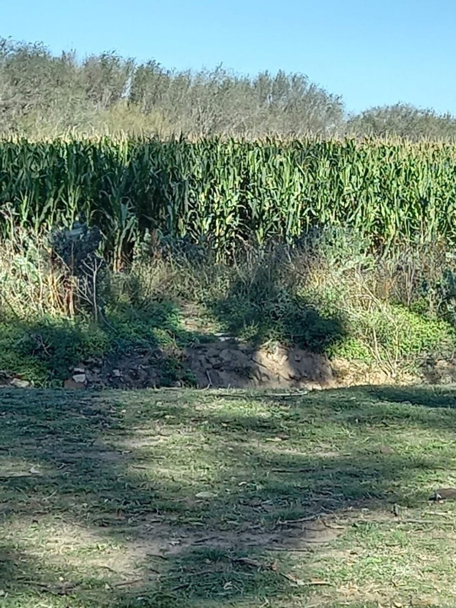 Campo en venta 59 ha. sobre Cruz Alta-Arteaga