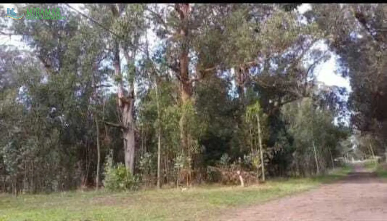 Lote o Terreno en Venta Bristol de Miramar. Estado Bueno. Apto Crédito