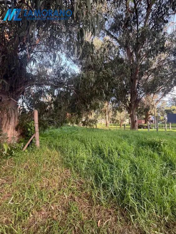Lote o Terreno en Venta Bristol de Miramar. Estado Bueno. Apto Crédito