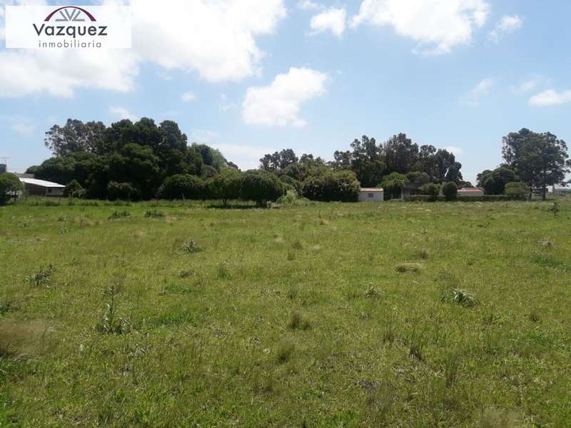 Lote o Terreno en Venta Parquemar de Miramar. Estado Muy Bueno. Apto Crédito