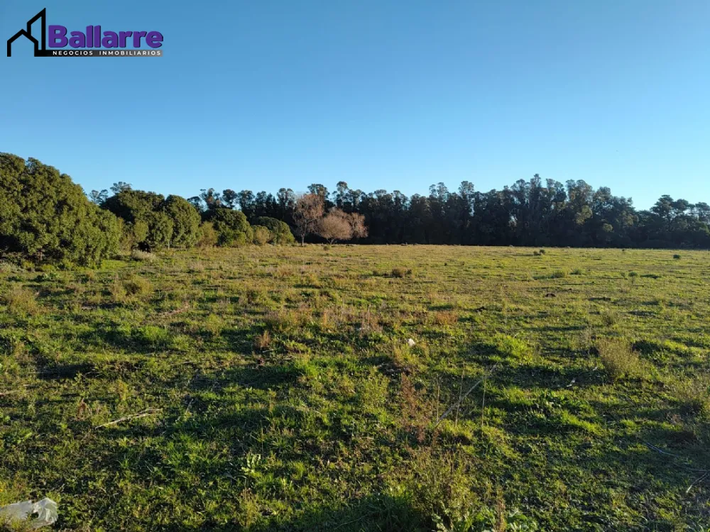 Campo en Venta Zona Todo el año de Miramar. Retasado a U$S 100000. Apto Crédito
