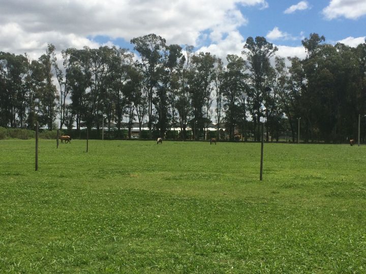 VENTA LOTES BARRIO ABIERTO GRANADERO BAIGORRIA  LAS CHIRQUITAS