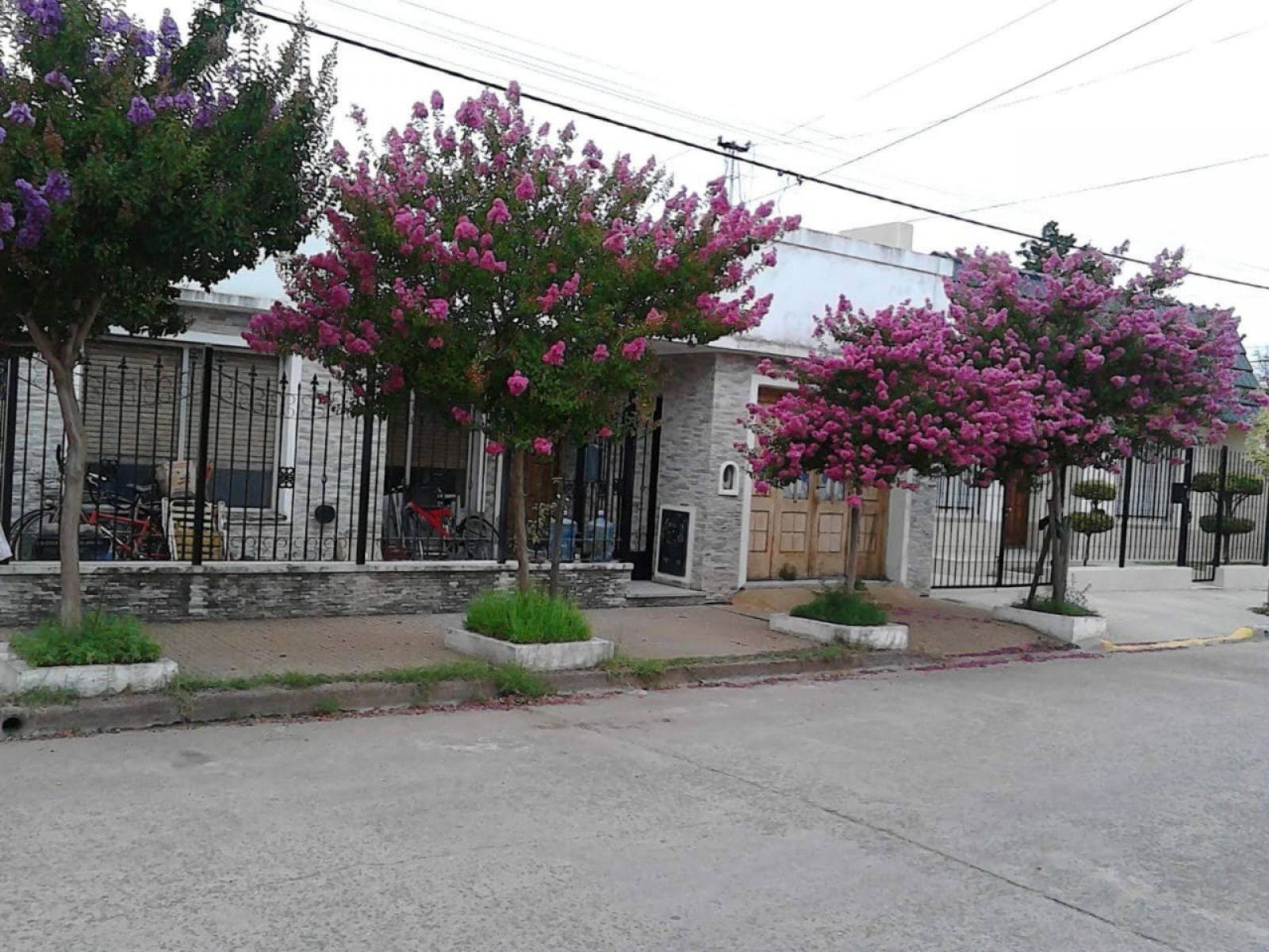 Propiedad ubicada en calle Sardén