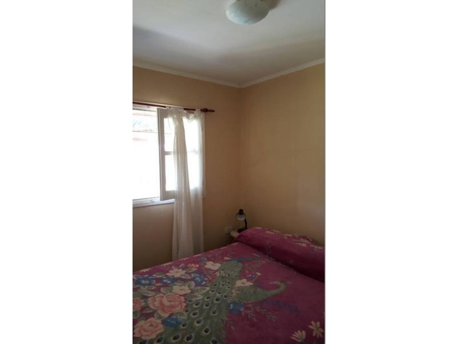 Complejo De Cabañas, Con Amplio Terreno, Pileta Y Equipamiento