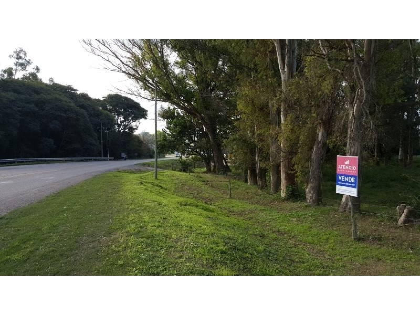 Zona Abadia, Lotes De 1.000 M2 Arbolados Sobre Ruta