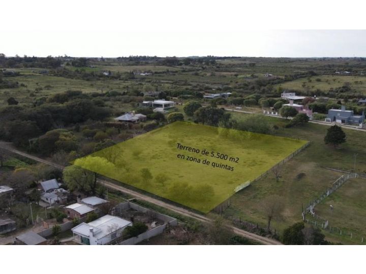 Terreno De 5.500 M2 En Zona De Quintas, Excelente Oportunidad