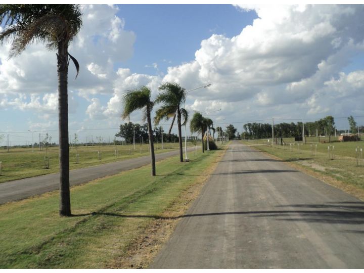 Lotes en Punta Chacra Roldan