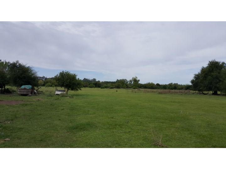 3 Lotes de 10000m2 con magnífica ubicación!  Calle Pública a metros de Bv. Pueyrredón y Nueva Terminal - Victoria, Entre Ríos
