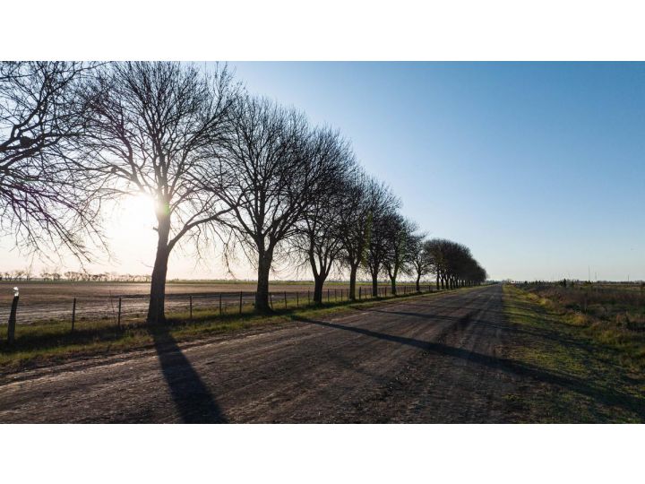 Lote cercano AO12 - Ibarlucea - Cinco Lagos - Barrio cerrado - Ruta 34 Km 10 - Lote 226