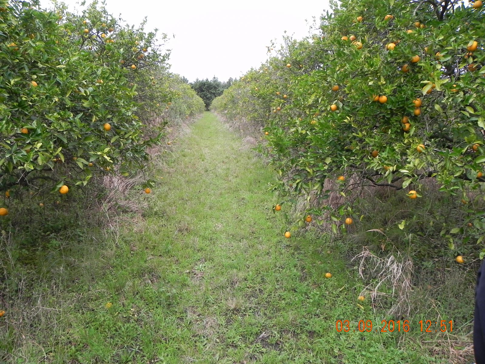 HERMOSO LOTE DE TERRENO EN FEDERACION ENTRE RIOS