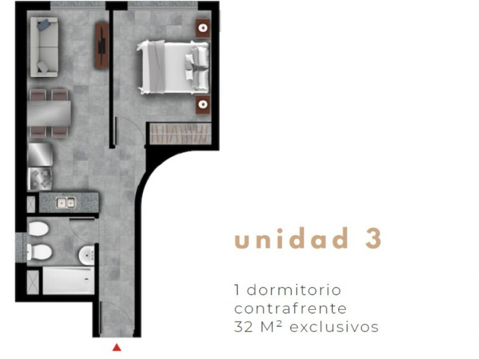 Departamento de 1 dormitorio c/cochera - Presidente Roca 1453