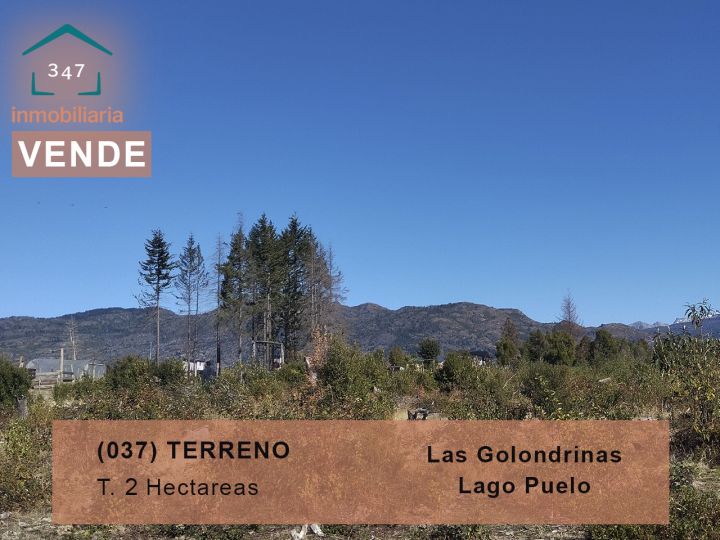 (037) LAS GOLONDRINAS (Lago Puelo) Terrenos hasta de 2 hectareas y otros