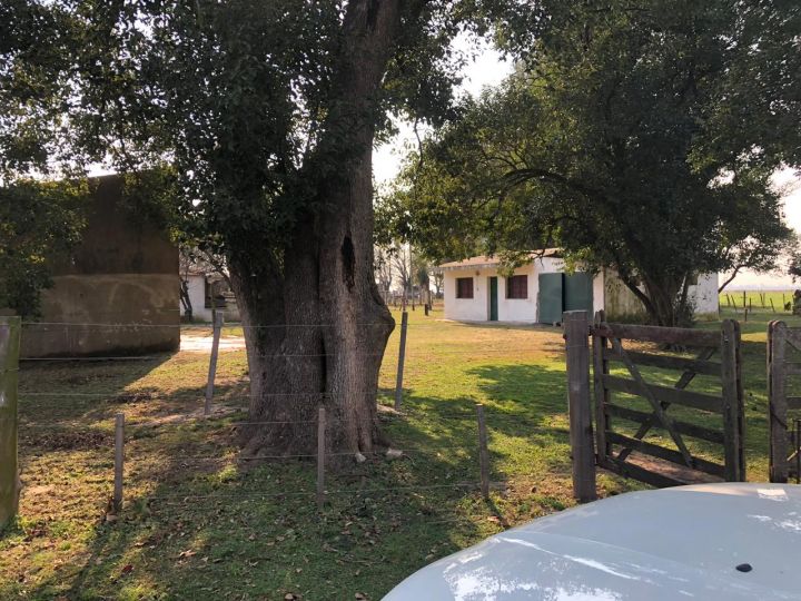 Alquiler Campo  12 hectareas en Ibarlucea