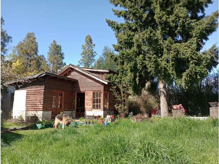 (055) LAGO PUELO (Isla Sur) Complejo Habitacional