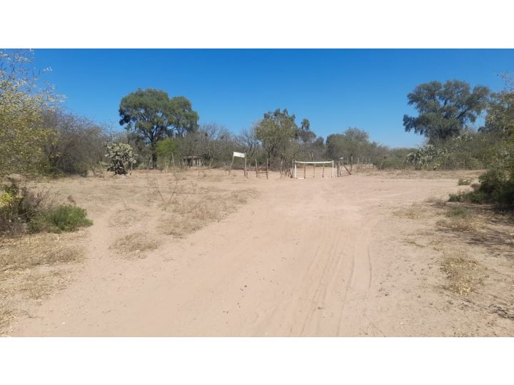 Campo 2000has todo monte, Capsi Corral, Santiago del Estero