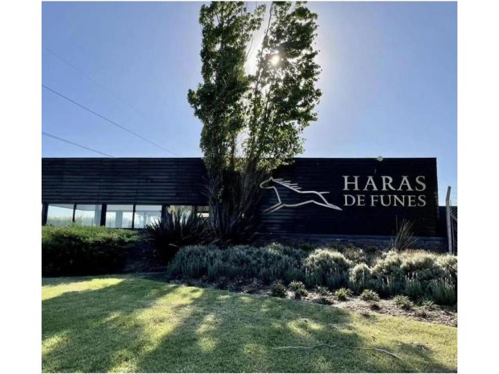 Haras De Funes Lote / N° 0
