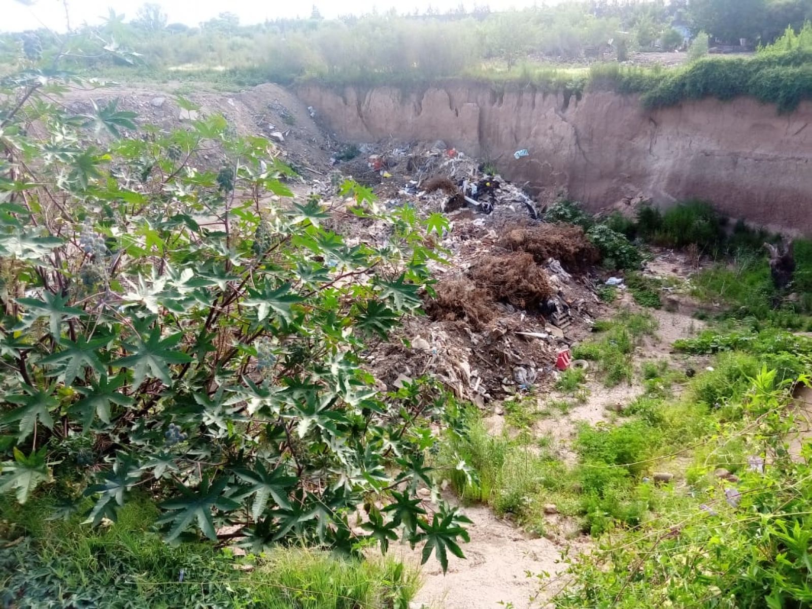 BV. OROÑO  al 2500, San Lorenzo