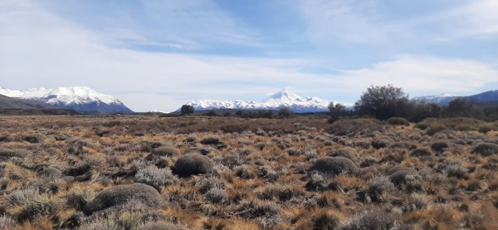 Lotes comerciales con costa de Río Chimehuin en Huechulafquen