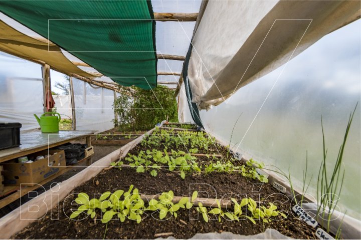 VENTA. CALAMUCHITA, CORDOBA. EMPRENDIMIENTO 100% RENTABLE (COMPROBABLE) DE 23 HTAS CON DOMOS EQUIPADOS FULL