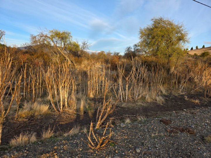 TERRENO EN ENTORNO NATURAL C/ENERGÍA ELÉCTRICA Y AGUA