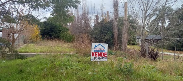 TERRENO