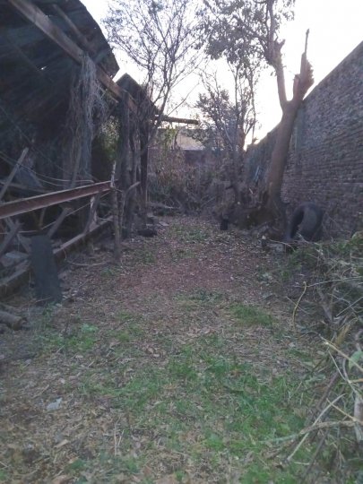 Terreno