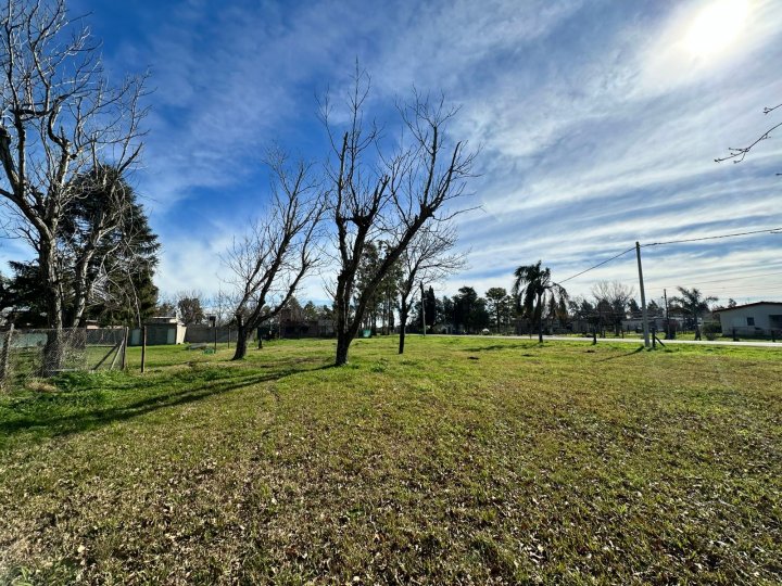 Venta terreno Ibarlucea - Barrio Los Nogales - Lote 5 - Uso Residencial o comercial - Frente calle Schilla