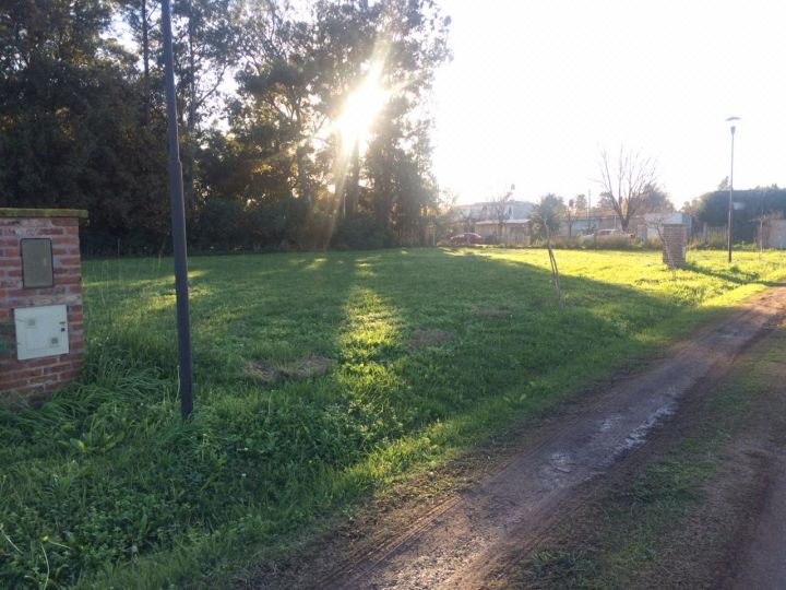 LOTES IBARLUCEA BARRIO TERRUÑO