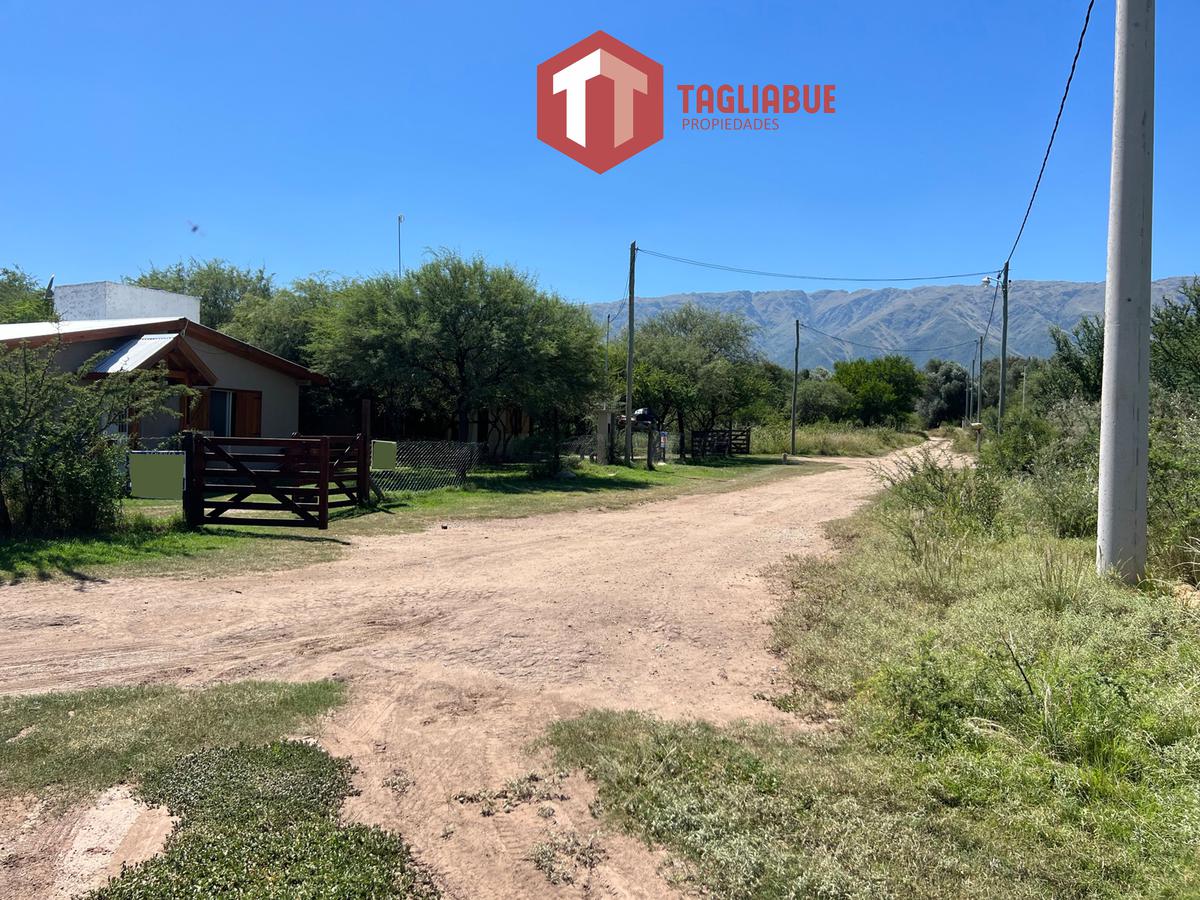 TIERRA MIA - Lote 85