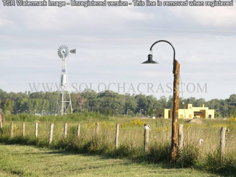 Chacras de Uribelarrea Chacra 77 Ruta 205 km 82 - Uribelarrea Cañuelas Pcia. de Buenos Aires