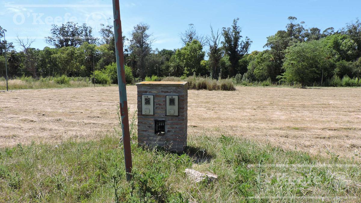 Casa en venta de Cinco ambientes sobre amplio lote en Village del Parque