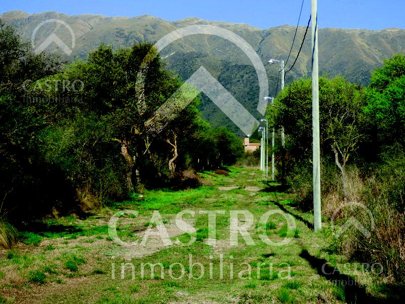 Terreno - Carpinteria