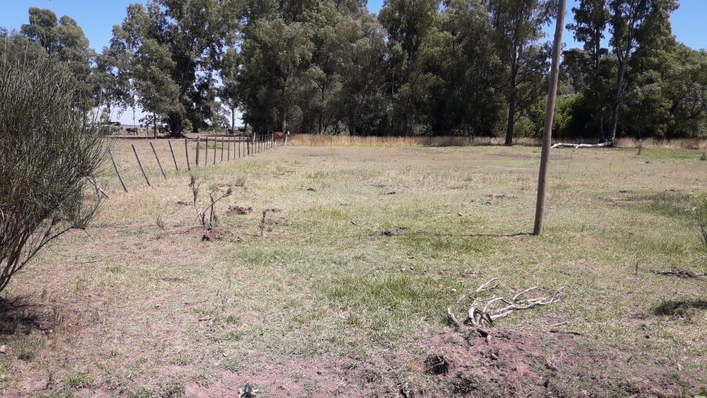 Terreno Venta 500mts2 - Espigas, Olavarría