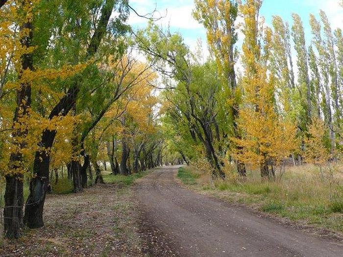 INMOBILIARIA COMODORO - Establecimiento Ganadero en Producción en Chubut.