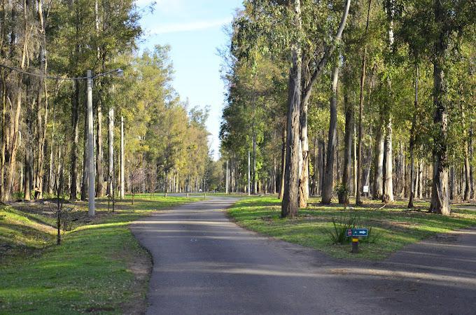 VENTA/PERMUTA - Lote - Campo Timbo