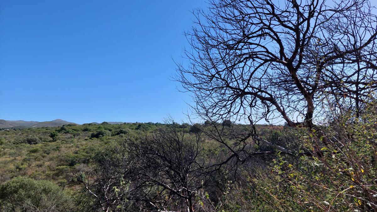 Campo - Falda Del Carmen