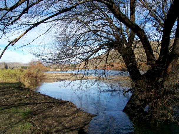 Terreno en venta con 200 metros de costa de Rio Limay, pesca, a minutos de Bariloche