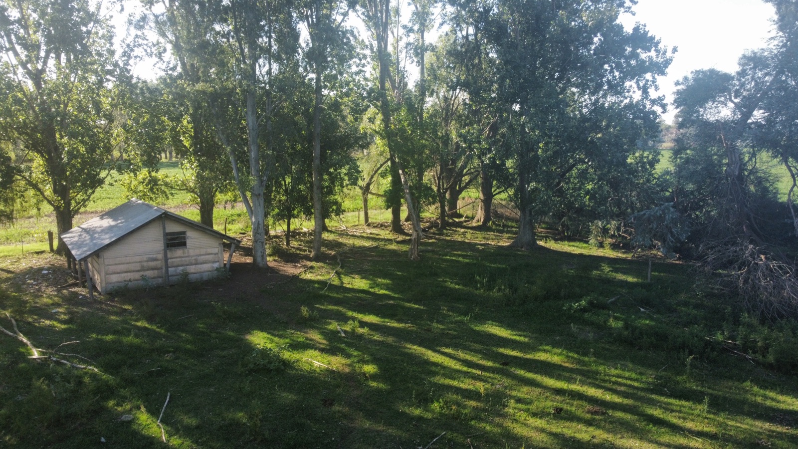 Campo en Lobos