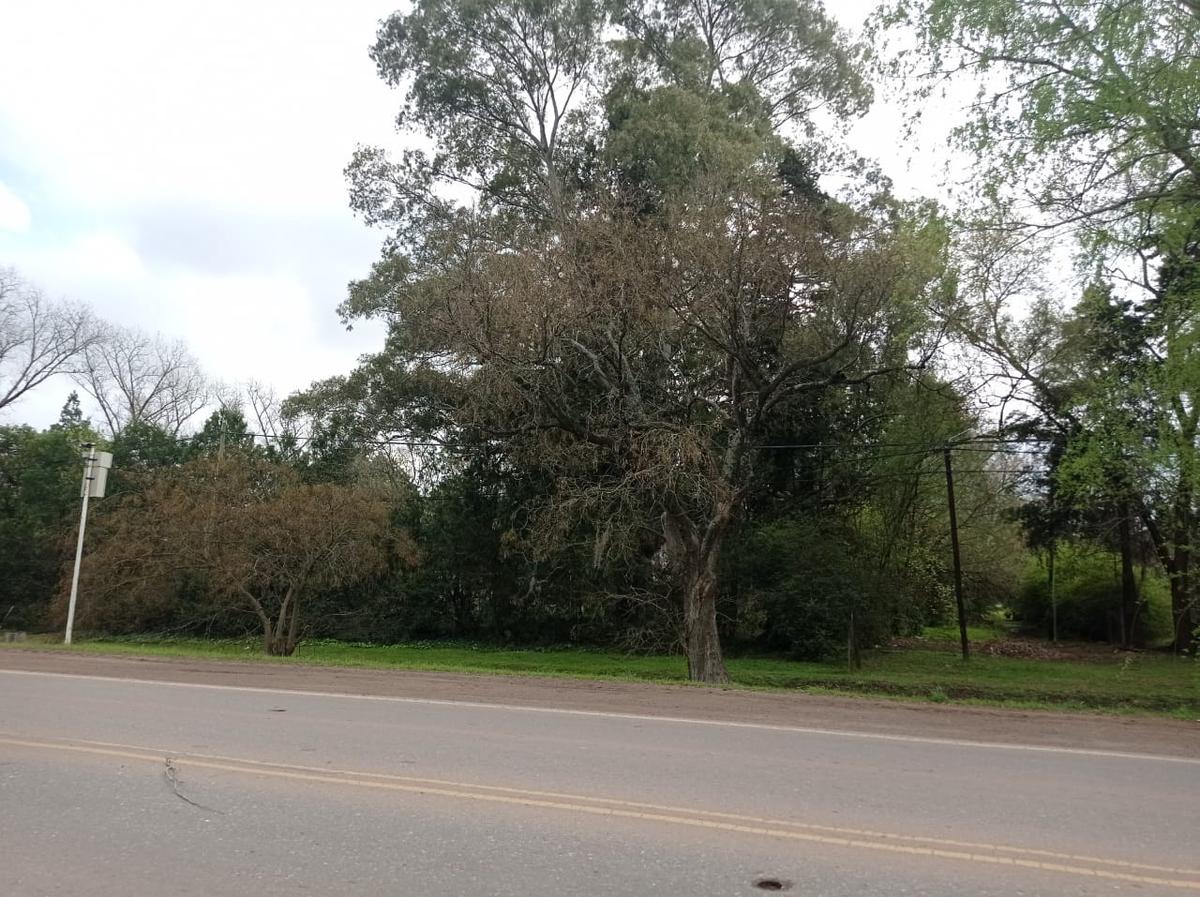 Terreno en Cotos de la Alameda Roldan